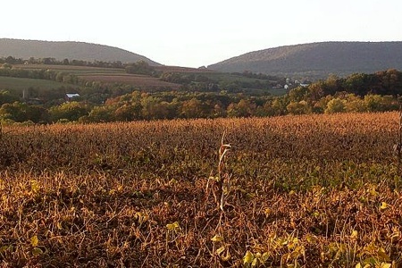 Plainfield Township