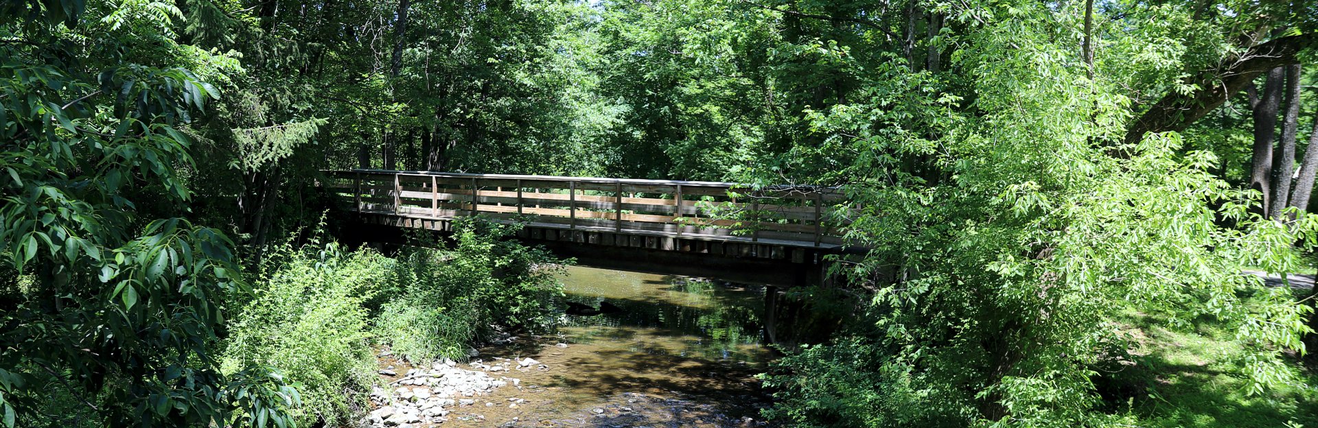 Plainfield Township