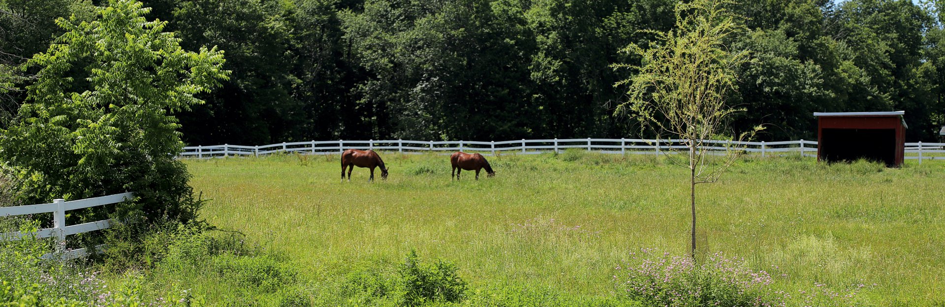 Plainfield Township