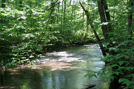 Plainfield Township