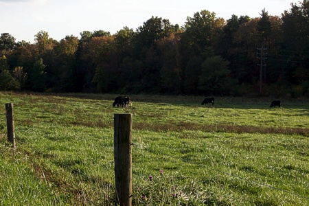 Plainfield Township